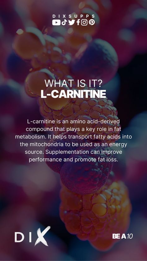 Today we'd like to tell you more about L-Carnitine L Carnitine, Energy Sources, Fatty Acids, Amino Acids, Fat Loss, To Tell, Nutrition, Collage, Health