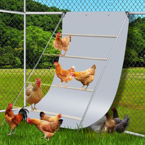 Chicken coop designs