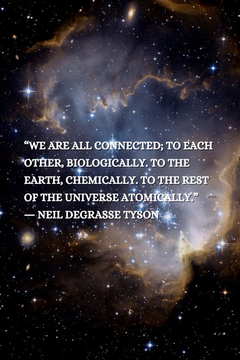 I Am The Universe Quotes, We Are All Connected Quotes, Neil Degrasse Tyson Quote, Connected To The Universe, Space Theme Classroom, Groove Cruise, Earth Quotes, Life Affirmations, Sacred Science