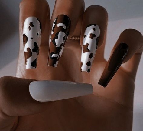 Nails Cow Design, Brown Cow Nails, Cowboy Nails, Brown Acrylic Nails, Western Nails, Country Nails, Cow Nails, Black Acrylic Nails, Nude Nail Designs