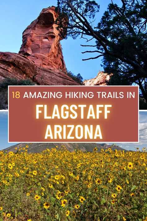 🌄 Calling all adventure seekers! If you're looking for an unforgettable hiking experience, look no further than the breathtaking trails of Flagstaff, Arizona. Whether you're a fan of scenic views, fields of wildflowers, or exploring caves and lava trails, Flagstaff has something for every type of adventurer. Get ready to lace up your hiking boots and discover the natural beauty of Arizona's diverse landscapes. #FlagstaffHiking #AdventureAwaits #ArizonaTrails 🏞️ Sedona Travel, Arizona Trip, Arizona Adventure, Flagstaff Arizona, Flagstaff Az, Lava Flow, Arizona Travel, Flagstaff, Best Hikes