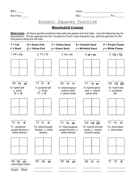 Punnett Square Monohybrid Cross Worksheets Punnett Square Activity, Monohybrid Cross, Dihybrid Cross Worksheet, Square Worksheet, Genetics Activities, Dihybrid Cross, Punnett Square, Life Science Middle School, Punnett Squares