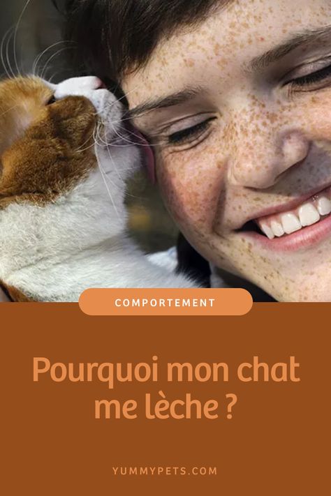 "Mon chat me lèche le visage quand je lui fais des câlins", un témoignage dans lequel de nombreux propriétaires de félins se reconnaîtront... Mais comment expliquer ce type de comportement ?