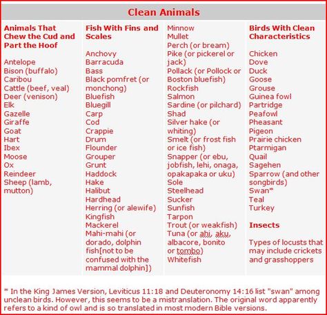 Clean and Unclean Meats Clean Food List, Biblical Diet, Bible Food, Kosher Diet, Bible Guide, Kosher Recipes, Bible Facts, Diet Food List, Food List