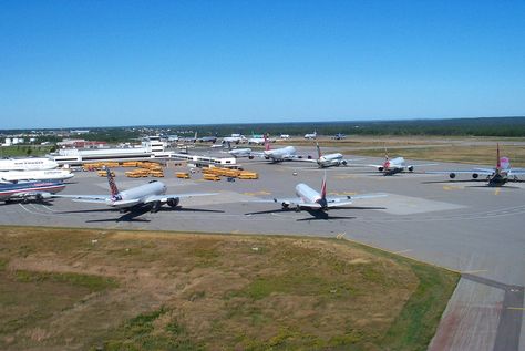 It's A Secret, Newfoundland And Labrador, Live In The Present, Newfoundland, True Story, The Stage, International Airport, True Stories, North America