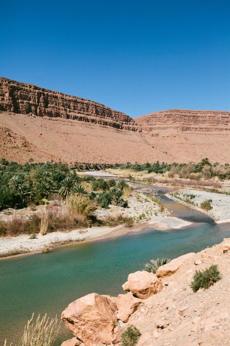 Desert Oasis Aesthetic, Morroco Desert, Oasis In Desert, Oasis Aesthetic, Morocco Honeymoon, Morocco Travel Destinations, Morocco Photography, Timur Tengah, Visit Morocco