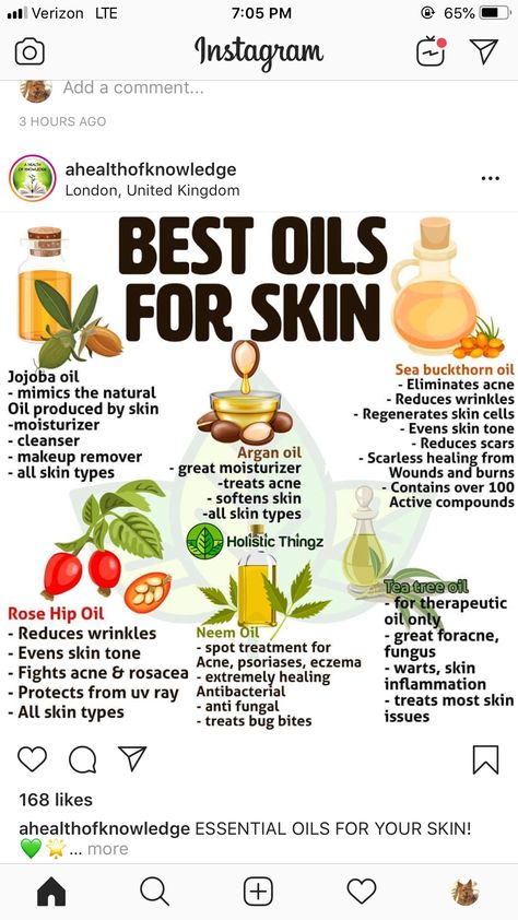 Best Oils For Skin, Best Oil For Skin, Health Photography, Health Aesthetic, Aesthetic Health, Health Cleanse, Quotes Health, Health Pictures, Acne Oil