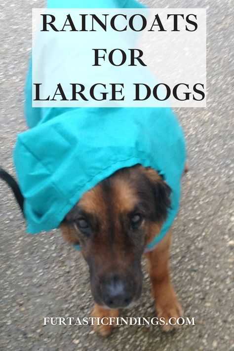 A dog raincoat can help protect your dog from getting wet and can reduce the wet dog smell. Dog Raincoat Pattern, Raincoat Pattern, Large Breed Dogs, Large Dog Clothes, Dog Smells, Wet Dog, Breed Dogs, Dog Raincoat, Dog Clothing