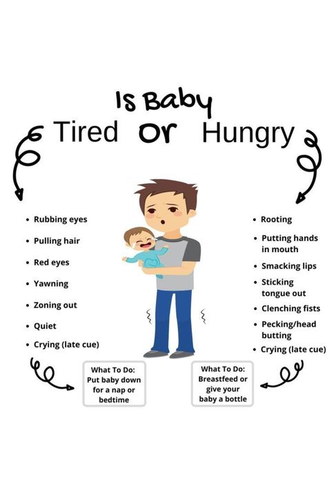 Telling the Difference Between Hunger and Sleep Cues in Infants Baby Hunger Cues, Baby Cues, Hunger Cues, Newborn Stage, Pregnancy Help, Baby Routine, Baby Help, Newborn Mom, Newborn Baby Tips