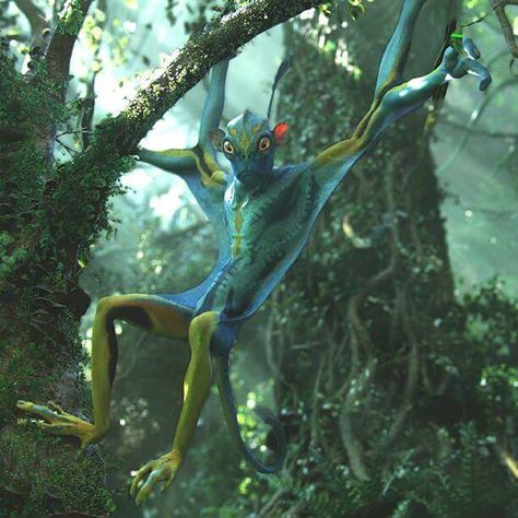 Avitar Avatar Theme, Avatar Film, Pet Anime, Avatar Animals, Avatar Poster, Avatar Cosplay, Blue Avatar, Avatar James Cameron, Avatar Films