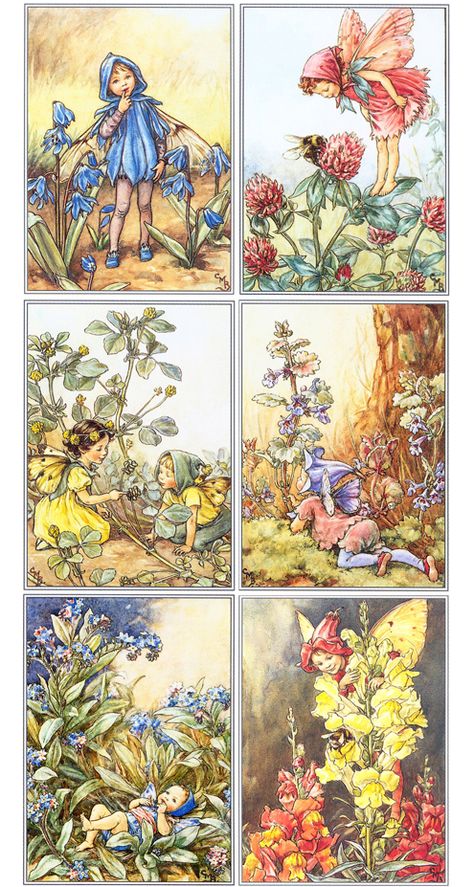 flower fairies by Cicely Mary Barker.  Scilla fairy, red clover, black meddick, I forget, forget-me-not, and snapdragon. Fairy Pictures, Fantasy Magic, Cicely Mary Barker, Fairies Elves, Vintage Fairies, Flower Fairies, Fairytale Art, Fairy Angel, Flower Fairy