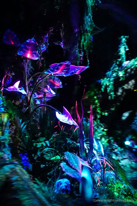 From the magical Floating Mountains to a mystical journey down the Na’vi River, we’re sharing 10 Reasons to Visit Pandora - The World of Avatar at Disney's Animal Kingdom! #VisitPandora Floating Mountains, Foto Langka, Pandora Avatar, Avatar Movie, Jewelry Pandora, Avatar World, Arte Fantasy, 판타지 아트, 10 Reasons