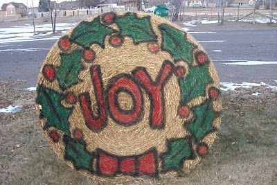 Hay Bale Wreath ~ Be Different...Act Normal Christmas Hay Bale Ideas, Christmas Hay Bale Decor, Christmas Hay Bales, Hay Decorations, Hay Bale Christmas, Christmas Hay Bale, Painted Hay Bale Ideas, Hay Bale Fall Decor, Painted Hay Bales