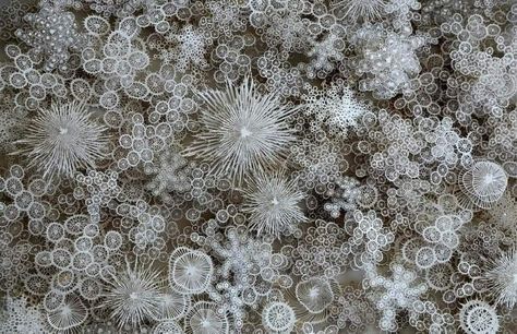 Snow under a microscope-Neige sous microscope Under Microscope, Natural Architecture, Laser Cut Paper, Petri Dish, Things Under A Microscope, Magic Circle, Kirigami, Paper Artist, Paper Sculpture