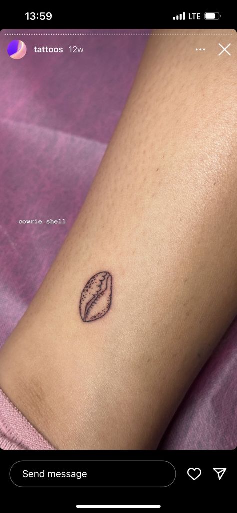 Cowrie Shell Tattoo Design, Hawaiian Shell Tattoo, Cowry Shell Tattoo, Opihi Tattoo, Murex Shell Tattoo, Puka Shell Tattoo, Cowrie Tattoo, Shell Tattoos For Women, Cornwall Tattoo