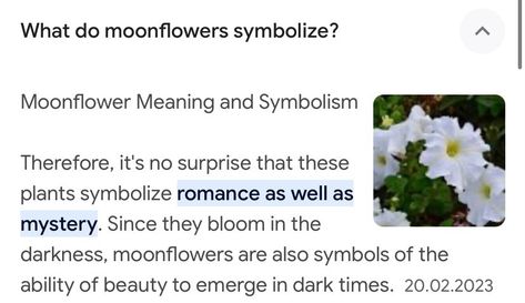 Moon Flower Meaning, Moonflower Symbolism, Moonflower Bouquet, Moonflower Meaning, Moonflower Aesthetic, Moon Flowers, Plant Tattoo, Garden Angels, Flower Meanings