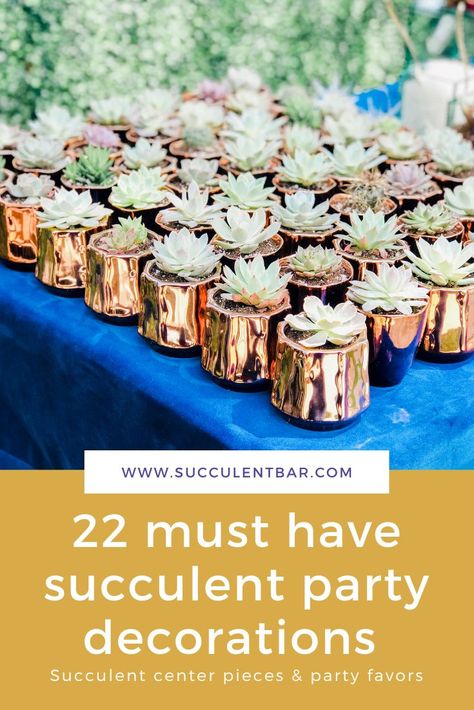 Birthday party ideas for succulent lovers! Throwing a succulent themed celebration? Find inspiration for succulent invitations, garden party decor, succulent themed gifts & arrangements! Succulent Birthday Party, Summer Events Ideas, Succulent Bar, Succulent Party, Succulent Party Favors, Garden Party Favors, Succulent Theme, Boho Party Decorations, Succulent Display