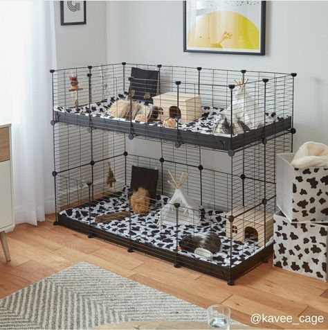 Guine Pig Cage Ideas, Guniea Pig Aesthetic Cage, Aesthetic Guinea Pig Cage, C And C Cage, Guinea Pig Supplies, Indoor Guinea Pig Cage, Indoor Rabbit Cage, Diy Guinea Pig Cage, Guinea Pig Cages