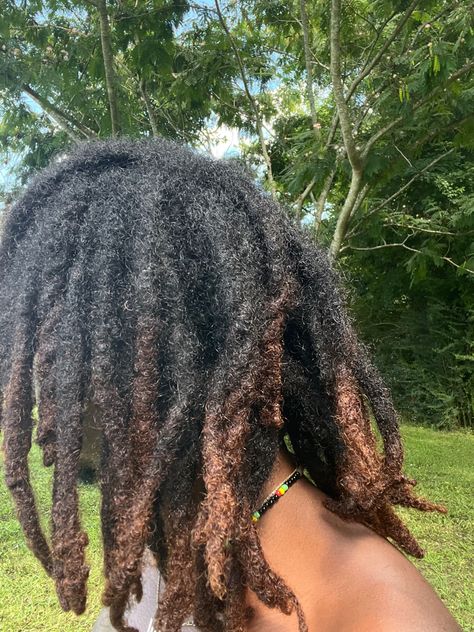 Curly Freeform Locs, Long Freeform Locs, Semi Freeform Locs, Black Hair Locs, Thick Semi Freeform Locs, Free Form Locs, Mens Dreadlock Styles, Short Hair Twist Styles, 3c Hair