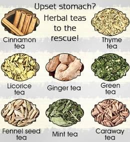 Herbs and spices to settle an upset stomach. Stomach Fat Diet, Stomach Remedies, Reflux Remedies, Natural Remedies For Migraines, Healing Tea, Medical Herbs, Upset Stomach, Herbal Teas, Healing Herbs