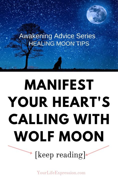 Wolf Moon holds majesty and mystery. She gives us a portal for heighted courage, leadership and spontaniety, releasing repressed thoughts and calling your heart's desire. Wolf Moon, Achieve Success, Manifestation Quotes, Hearts Desire, Divine Feminine, Live For Yourself, Law Of Attraction, Dream Life, Life Is Good