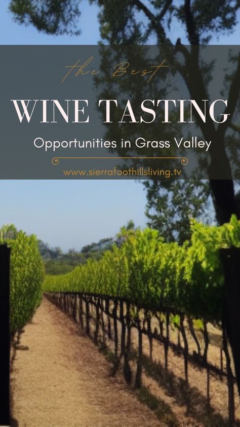 Are you a wine connoisseur? Or maybe you're just getting started. Either way, Grass Valley is the perfect place to begin your journey into the world of wine tasting. With its unique climate and terrain, Grass Valley has become known as one of California's premier wine regions. We've put together a guide to the best wineries and tasting opportunities around town. Find out more at sierrafoothillsliving.tv! Grass Valley California, Wine Connoisseur, Grass Valley, Fun Day, Wine Region, Getting Started, Wine Cooler, Wine Tasting, Perfect Place