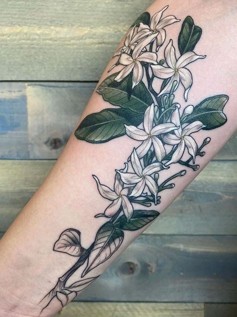 Jasmine Flower Tattoo Color, Night Jasmine Flower Tattoo, Star Jasmine Flower Tattoo, Arabian Jasmine Tattoo, Stephanotis Tattoo, Jazmine Tattoos, Night Blooming Jasmine Tattoo, Star Jasmine Tattoo, Sampaguita Flower Tattoo Philippines