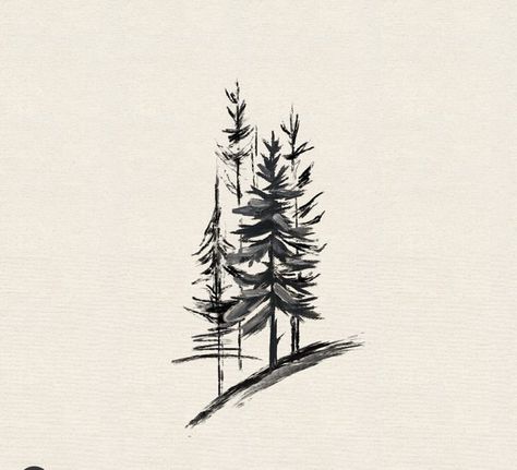 Pine Tree With Mountains Tattoo, Black Hills Tattoo Ideas, Washington Tree Tattoo, 4 Pine Tree Tattoo, Western Hemlock Tattoo, Mountain Pine Tree Tattoo, Men’s Outdoor Tattoos, Redwood Forest Tattoo, Oregon Coast Tattoo