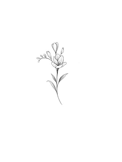 Small Freesia Tattoo, Dainty Lilly Tattoo, Cute Lily Tattoos, Tiny Gladiolus Tattoo, Small Line Work Flower Tattoo, Freesia Flower Tattoo Design, Freesias Flower Tattoo, Gladiolus Flower Tattoo Fine Line, White Violet Tattoo