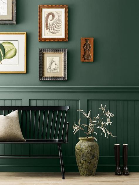 Sherwin-Williams' 2024 collection of blues and greens features the striking verdant hue, Billiard Green. This cool, forest-inspired shade is rich and organic with timeless appeal. (It's part of the brand's historical collection as well.) How You Can Use It Go green in an outside-to-inside space like a mudroom, foyer or entryway. This rich emerald will provide continuity with natural surroundings while creating a dazzling entrance to your home. Green Entryway, Sherwin Williams Green, Trending Paint Colors, Color Forecasting, Sherwin Williams Colors, Green Paint Colors, Diy Casa, Sherwin Williams Paint Colors, Paint Brands