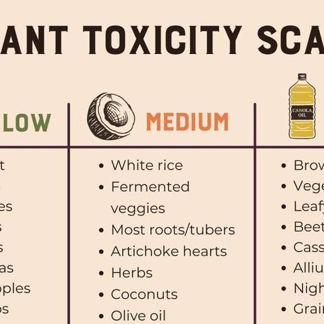 Heart & Soil on Instagram: "Let us start by saying… if you're thriving, then don't change a thing! But if you are looking to improve, refine, or reclaim your health, then the plant toxicity scale is for you. All living organisms will defend themselves, even seemingly benign plants. But while animals defend with teeth, claws, and fast legs, plants defend with defense chemicals. We suggest avoiding things on the high-toxicity end of the scale. These plant “foods” are FULL of defense chemicals like lectins, gluten, oxalates, and solanines, which have been shown to trigger inflammation and contribute to autoimmune issues. For instance, one study by Bruce Ames highlighted that several defense chemicals produced by plants turned out to be rodent carcinogens. “99.99% (by weight) of the pest Living Organisms, Dont Change, Artichoke Hearts, Foods To Avoid, Plant Food, The Plant, Beets, A Thing, Defense