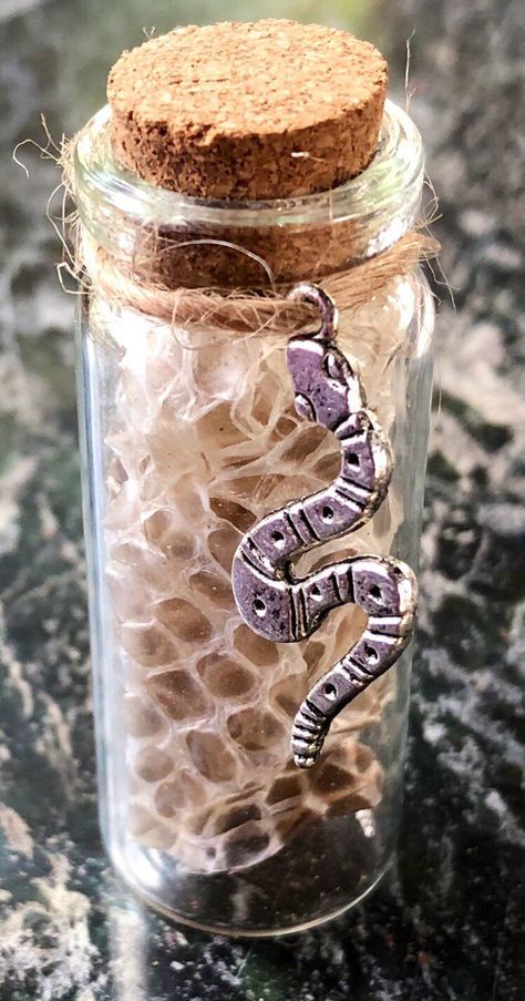 Snake Skin Crafts, Snake Shed Crafts, Talisman Spell, Snake Skin Jewelry, Witchy Spells, Crafts 2024, Skin Craft, Mermaid Purse, Snake Shedding