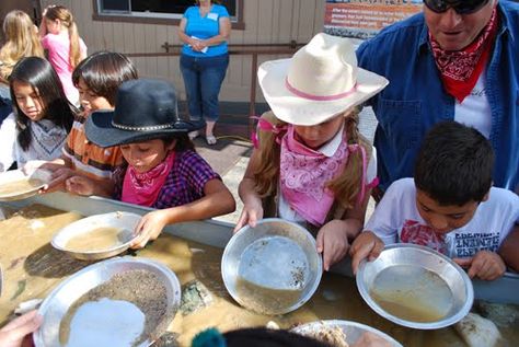 School Gold Rush Day costume Gold Rush Day 4th Grade, Gold Miner Costume, Gold Rush Party, Koala Costume, Panning For Gold, Gold Miners, Kids Camp, Diy Costumes Kids, Gold Award