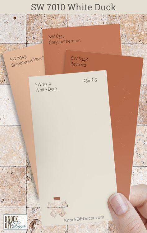 I appreciate how Sherwin-Williams White Duck serves as a neutral haven, offering a restful quality to interiors. It's the perfect starting point for introducing vibrant or muted accents. Here, I have SW Reynard, Chrysanthemum, and  Sumptuous Peach. Find all my go-to color combinations in my full review. Sherwin Williams Soft Apricot, Sumptuous Peach Sherwin Williams, Sw White Duck, Sherwin Williams White Duck, Pastel Paint Colors, Orange Room, Sherwin Williams White, Color Combinations Home, Pastel Paint