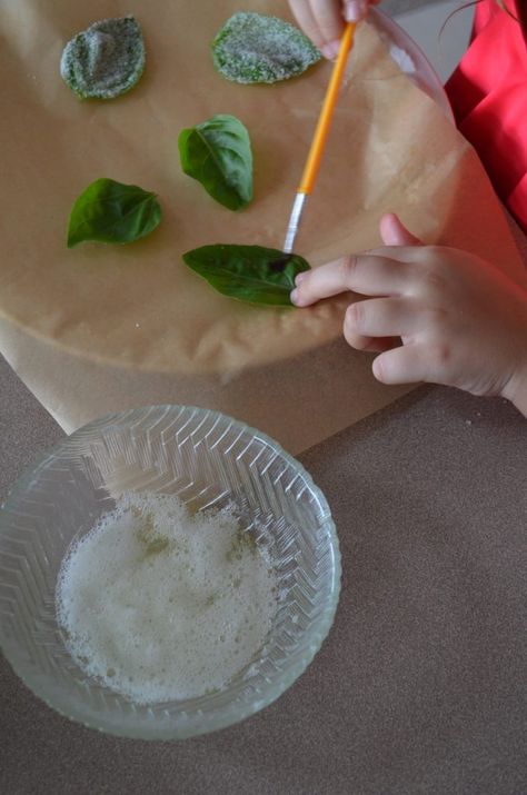 Using Basil, Fried Basil, Make Candles, Basil Leaf, Basil Recipes, Basil Leaves, Egg Wash, Shake It Off, Gluten Free Vegetarian