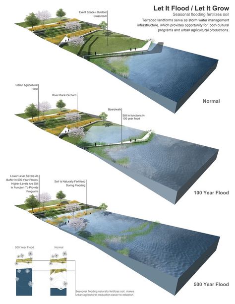 Terraced landforms serve as storm water management infrstracture ... Koshino House, Sponge City, Landscape Diagram, Architecture Diagram, Landscape Architecture Drawing, Desain Lanskap, Landscape Plan, Landscape Architecture Design, Water Management