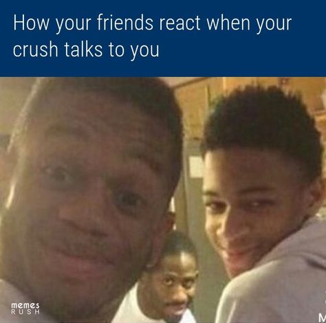 Funny Crush, Funny Crush Memes, Crush Humor, Crush Memes, Reaction Memes, Mom Memes, Friend Memes, Memes Sarcastic, School Memes