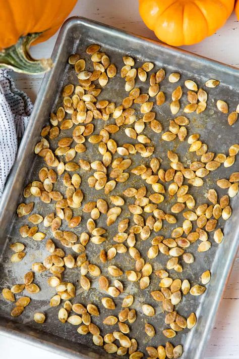 Roasted Pumpkin Seeds https://thestayathomechef.com/roasted-pumpkin-seeds/ Pumpkin Seed Nutrition, Pumpkin Seed Recipes Roasted, Pumpkin Seeds Baked, Stay At Home Chef, Aip Paleo Recipes, Pumpkin Seed Recipes, Pumpkin Sauce, Carving Pumpkins, Roasted Pumpkin