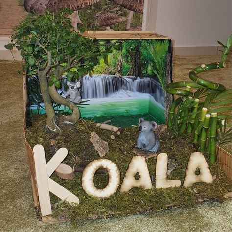 Koala Habitat Project For Kids, Koala School Project, Koala Habitat Diorama, Australia Diorama, Koala Habitat, Koala Diorama Project, Jungle Habitat, Shoe Box Diorama, Panda Habitat