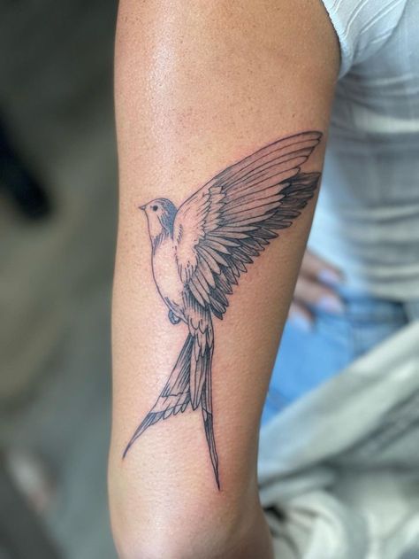 Scissor Tail FlyCatcher Oklahoma Themed Tattoo, Oklahoma Tattoo Ideas, Oklahoma Tattoo, Fandom Tattoos, Medium Tattoos, Typography Tattoo, Perfect Tattoo, Geometric Tattoo Design, Delicate Tattoo