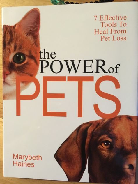 Pet Healing, Hold My Heart, Secret Keeper, Magical Thinking, Good Listener, Dog Rooms, Dog Activities, Maya Angelou, Self Help Books