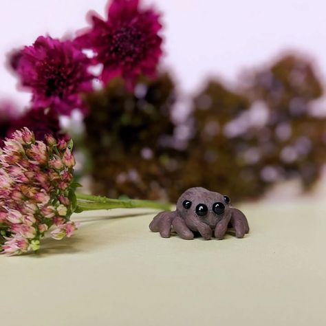 All posts • Instagram Polymer Clay Jumping Spider, Polymer Clay Spider, Clay Spider, Spider Terrarium, Clay Trinkets, Lucas The Spider, Jumping Spiders, Jumping Spider, Case Ideas