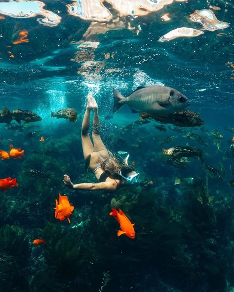 Santa Catalina Island California, Catalina Island Aesthetic, Catalina Core, St Marteen Island, Eryn Krouse, Catalina Island California, Santa Catalina Island, Ocean Girl, Surf Vibes