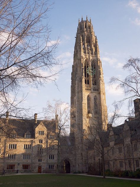 Branford College at Yale University; used to have a weekly seminar in the first-floor lounge of the Carillon University Vibes, Ivy League Colleges, University Of Paris, Ivy League Schools, American University, Dream College, A Discovery Of Witches, Dream School, Yale University