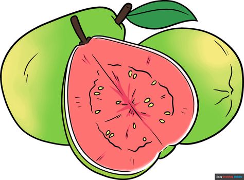 Learn to draw a Guava. This step-by-step tutorial makes it easy. Kids and beginners alike can now draw a great Guava. Guava Pictures, Guava Drawing, Fruits Drawing, Flower Drawing Tutorials, Engraving Illustration, Video Art, Drawing Tutorial Easy, Guided Drawing, Tree Drawing