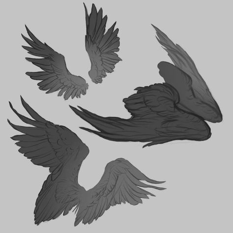 I'm dedicating some time to practicing drawing wings to enhance their dynamic movement and adapt them to various types of plumage. . . . . . . #sketch #wings #digitalart Feather Wings Drawing Reference, Fluffy Wings Drawing Reference, Back Wings Reference, Different Wings Drawing, Different Wing Types, Wing Types Drawing, Bird Wings Reference Drawing, Vulture Wings Drawing, Folded Bird Wings