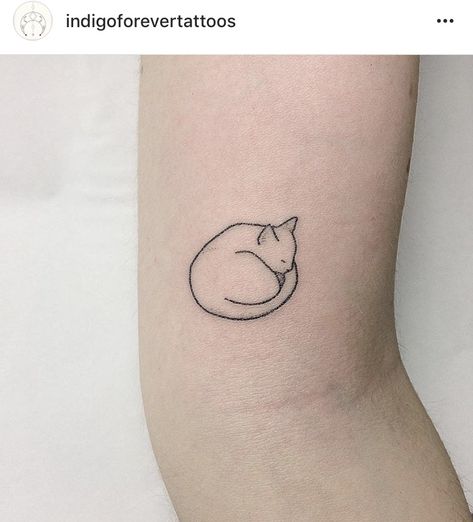 Einstein... Always sleeping 🖤 Sleeping Cat Tattoo Simple, Sleeping Cat Tattoo, Small Cat Tattoo Ideas, Sleep Tattoo, Small Cat Tattoo, Cat Tattoo Simple, Kitty Tattoo, Cat Tattoo Designs, Make Tattoo