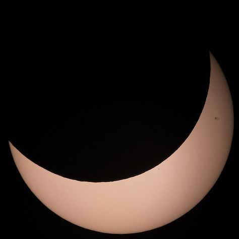 A Total Solar Eclipse will be visible in Toronto on April 8, 2024. Find out where to watch April 8, 2024 solar eclipse at viewing parties. Partial Eclipse, Solar Eclipse Glasses, Toronto Zoo, March Break, Path Of Totality, Solar Eclipses, Citizen Science, Toronto Life, Viewing Party