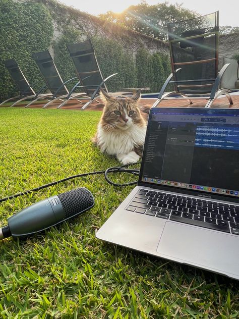 Recording music with microphone. Recording with cat. Garden. Outdoors. Nature. Song Artist Aesthetic, Song Producer Aesthetic, Independent Artist Music, Music Producer Aesthetic, Musician Aesthetic, Song Recording, Olivia Core, Songwriting Tips, Aesthetic Nature Photography