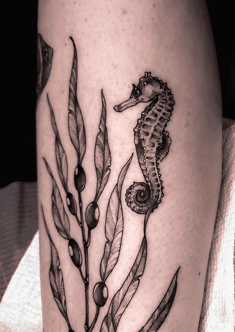 Sea Turtle Seaweed Tattoo, Aquatic Animals Tattoo, Marine Life Tattoos For Women, Water Animal Tattoo, Tattoo Sea Animals, Seahorse Tattoos For Women, Underwater Tattoo Design, Cute Filler Tattoos, Coral Tattoo Design